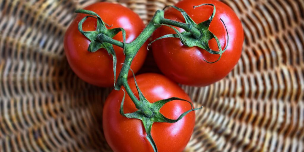 Czerwone Pomidory sennik
